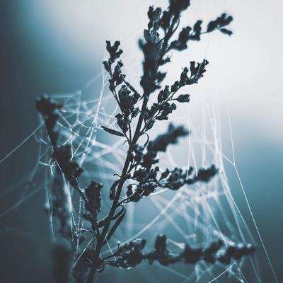 爱游戏全站下载手机版