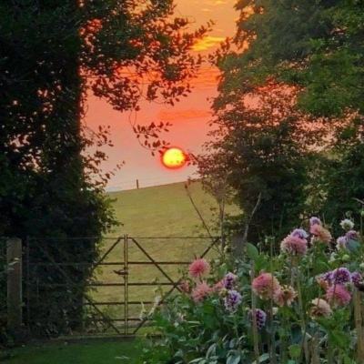 万博全站(Manbetx)