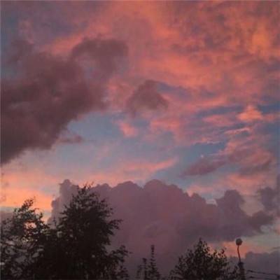 28网站下载手机版