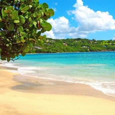 乐鱼娱乐appapp下载