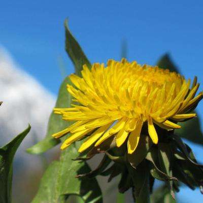 万博全站(Manbetx)截图