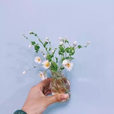 今期澳门三肖三码开一码