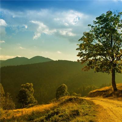 万博全站(ManBetX)